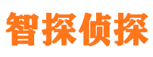 富民市侦探调查公司